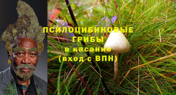 дурь Богданович