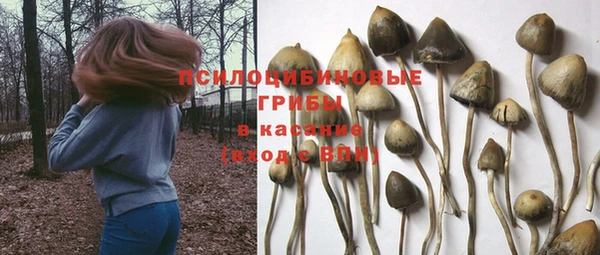 дурь Богданович