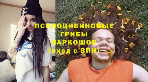 дмт Богородицк